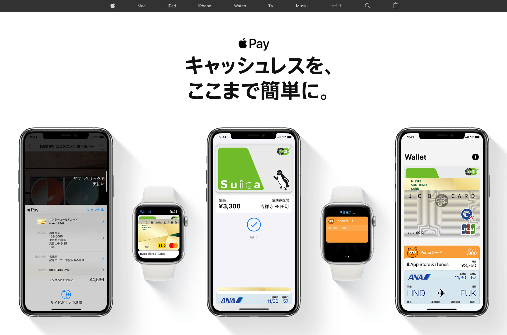 apple pay