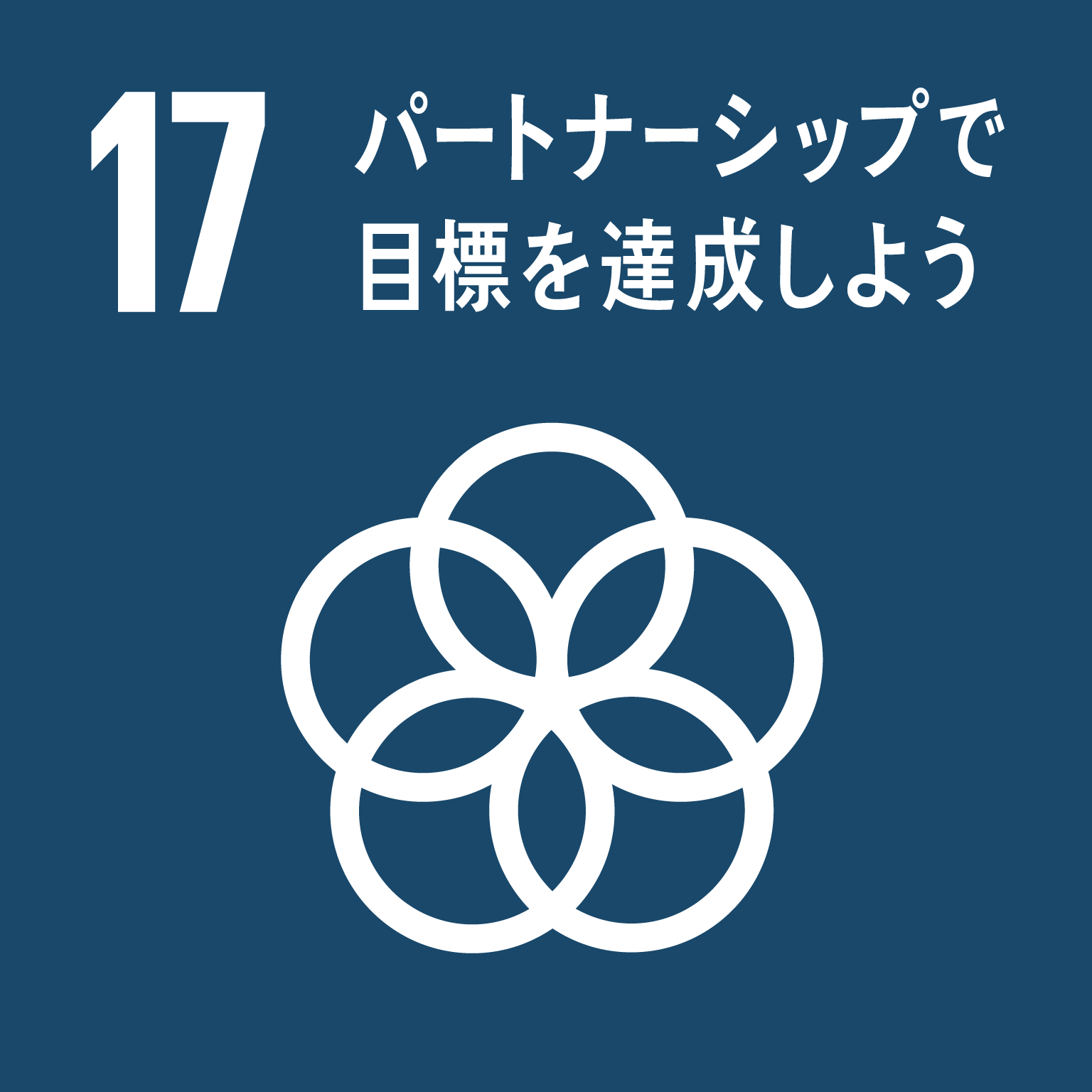 sdg_icon_17_ja