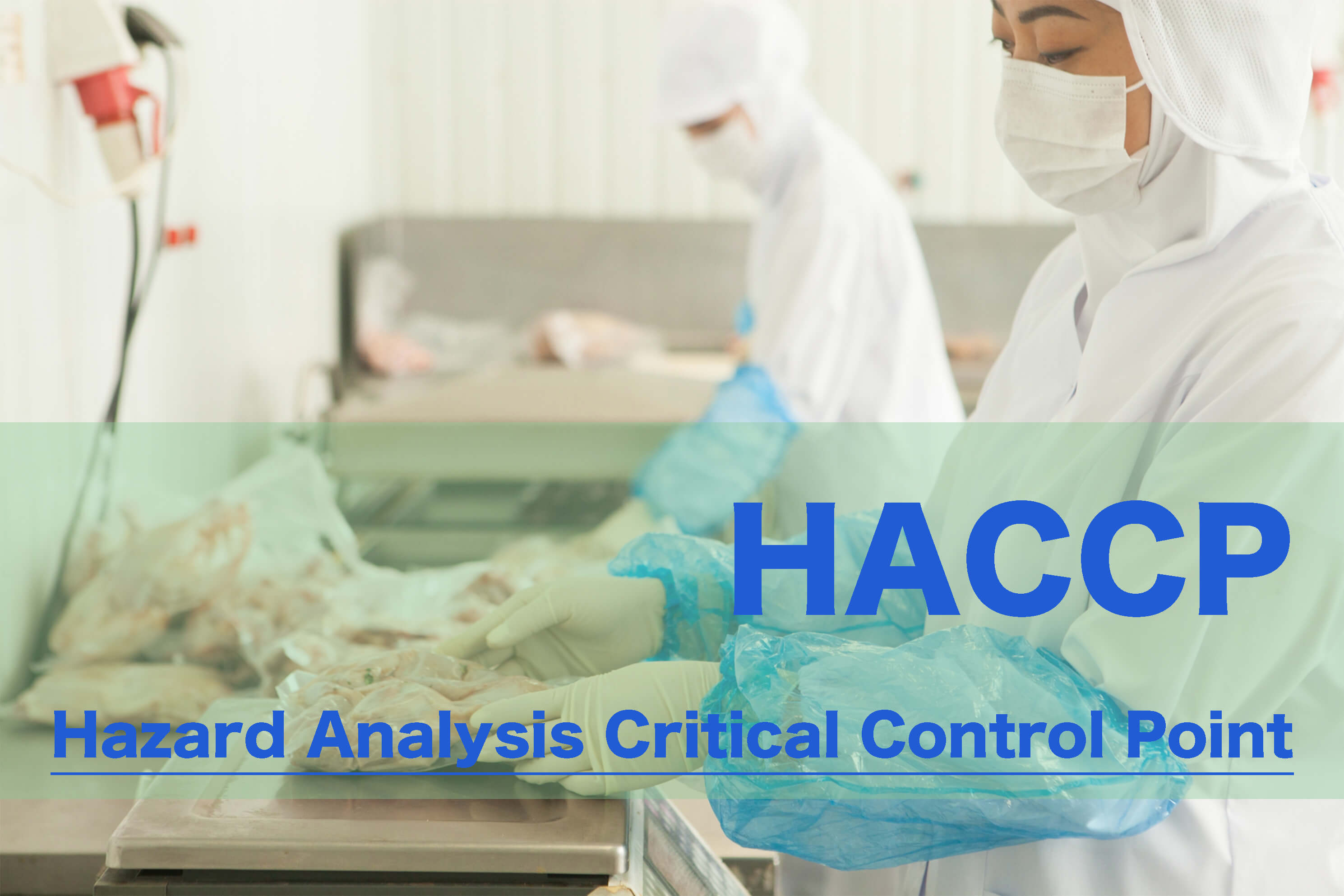 HACCP（ハサップ）の基礎知識 | HACCPの導入手順・認証のメリット・海外の状況