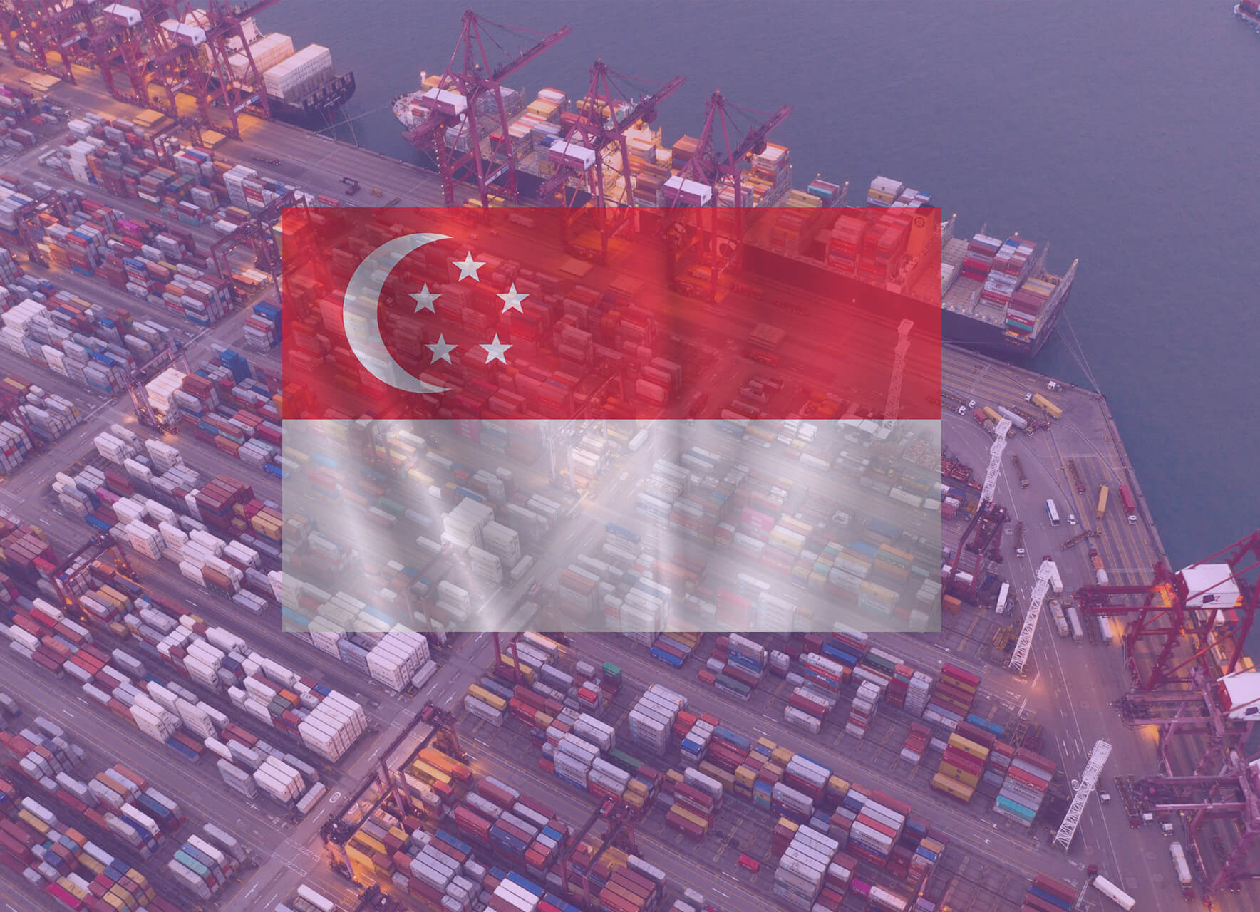 シンガポールの関税制度の基礎知識 | シンガポールの関税率を調べる3つの方法 / 関税体系・関税率の種類・課税基準…ほか